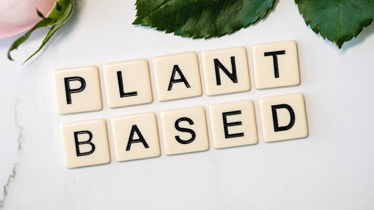 plant based 4812595 1920