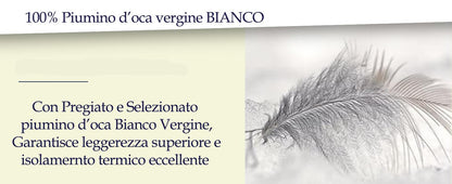 DAUNEX Piumino d'oca 100% piumino d'oca art. ROMEO