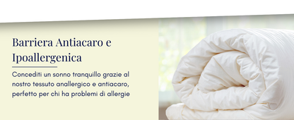 DAUNEX Piumino d'oca 100% piumino d'oca art. ROMEO