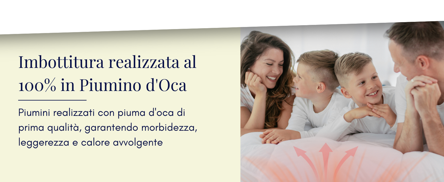 DAUNEX Piumino d'oca 100% piumino d'oca art. ROMEO