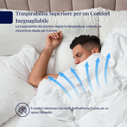 DAUNEX Piumino d'oca 100% piumino d'oca art. ROMEO