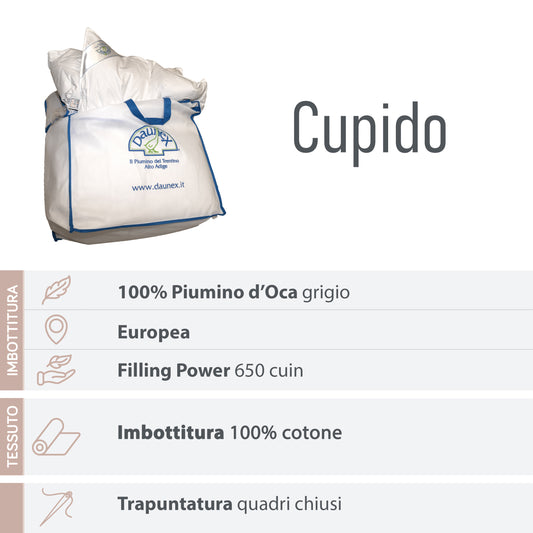 DAUNEX Piumino d'oca 100% piumino d'oca art. CUPIDO
