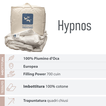 DAUNEX Piumino d'oca 100% piumino WARM 4 punti calore art. HYPNOS