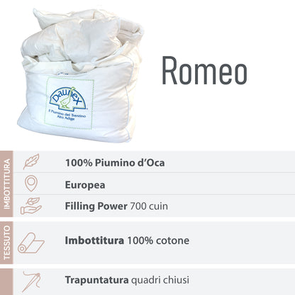 DAUNEX Piumino d'oca 100% piumino d'oca art. ROMEO