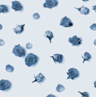 SINFONIA di rose acciaio