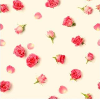 SINFONIA di rose rosa