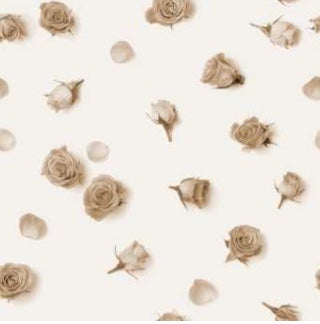 SINFONIA di rose tortora