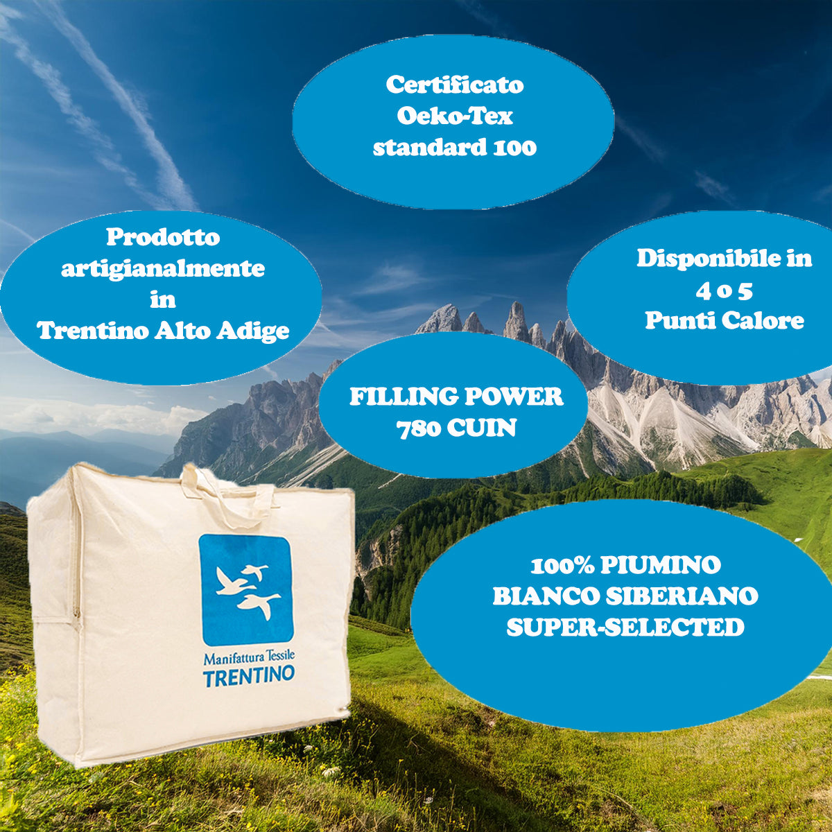 DAUNEX Piumino d'oca 100% piumino WARM 4 punti calore art. HYPNOS