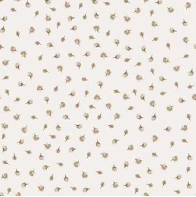 Schermata 2022 06 22 alle 11.36.34