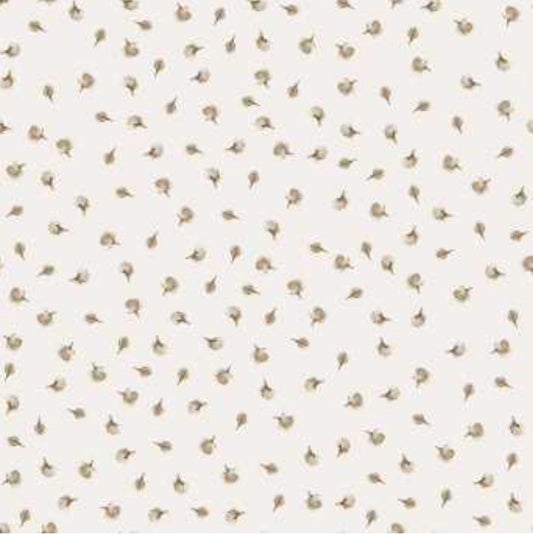 Schermata 2022 06 22 alle 11.36.34