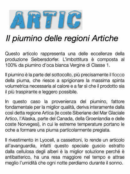 INHOM Factory Piumino letto in piuma d'oca SIBERIANA by SEIBERSDORFER art. ARTIC