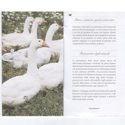 DAUNEX Piumino d'oca 100% piumino d'oca art. CUPIDO