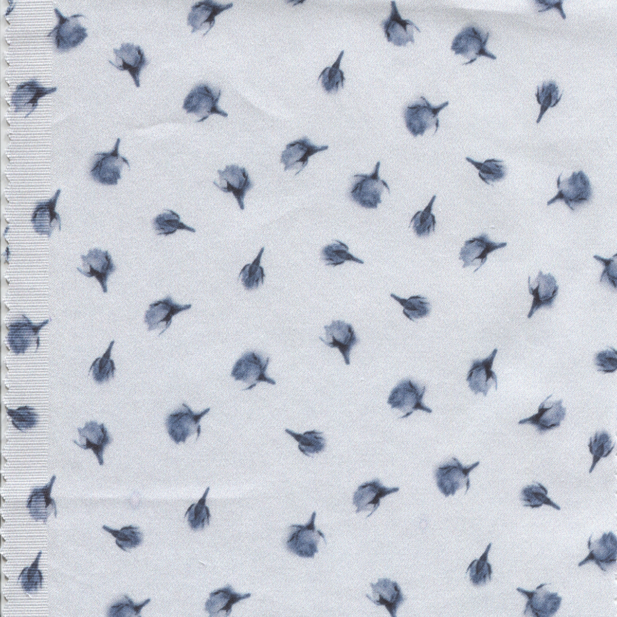 preludio rose acciaio