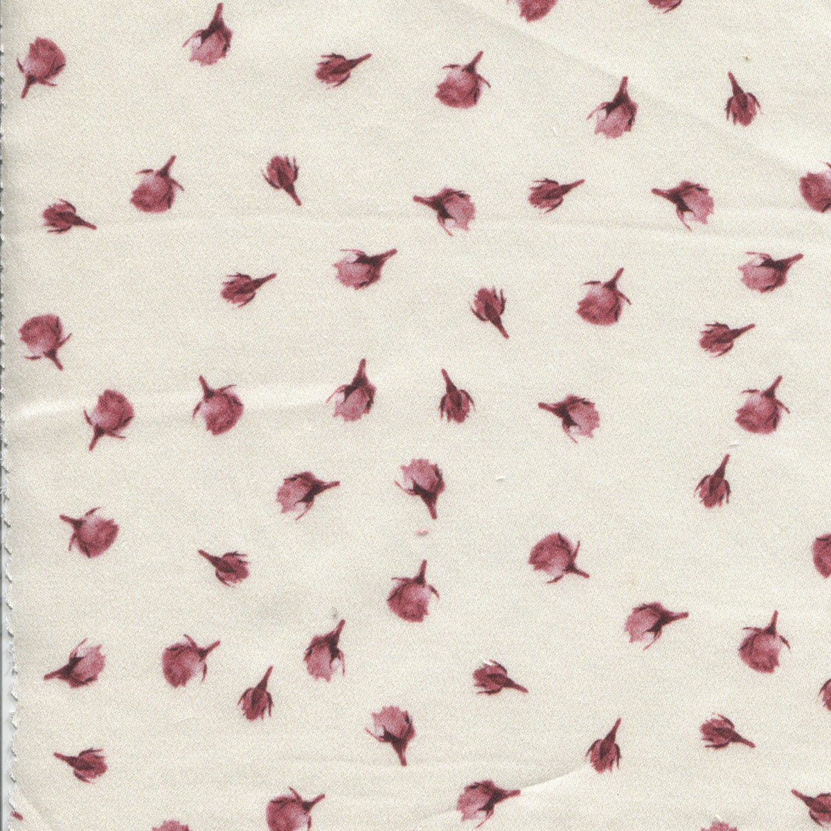 preludio rose amaranto