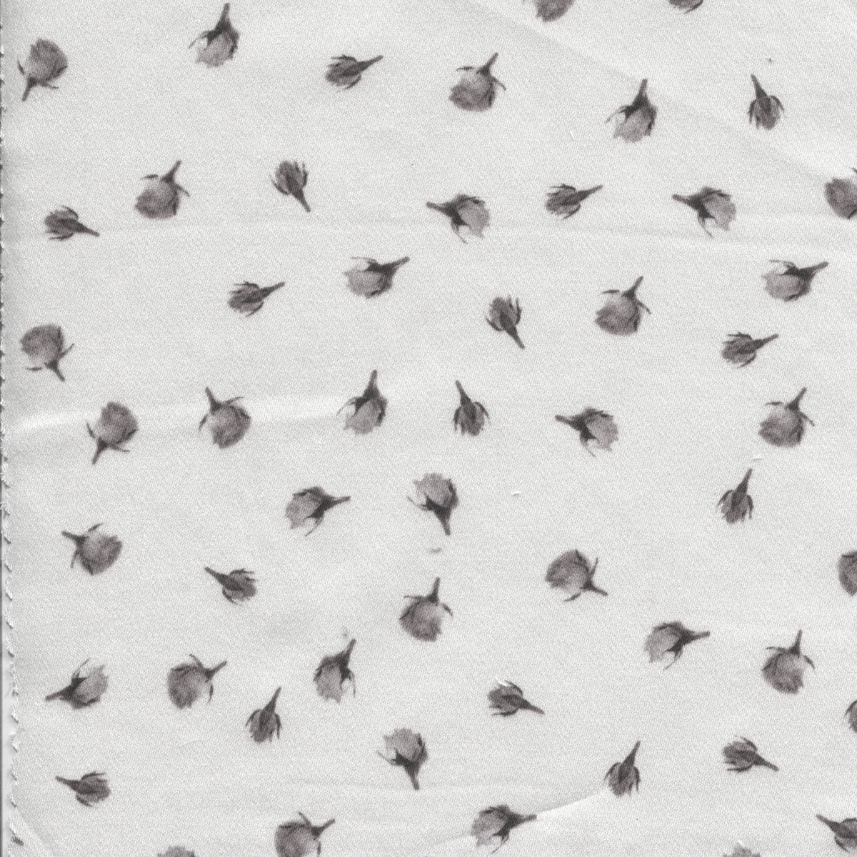 preludio rose grigio 99