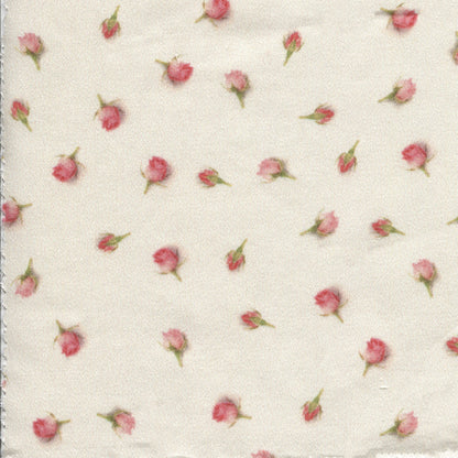 preludio rose rosa