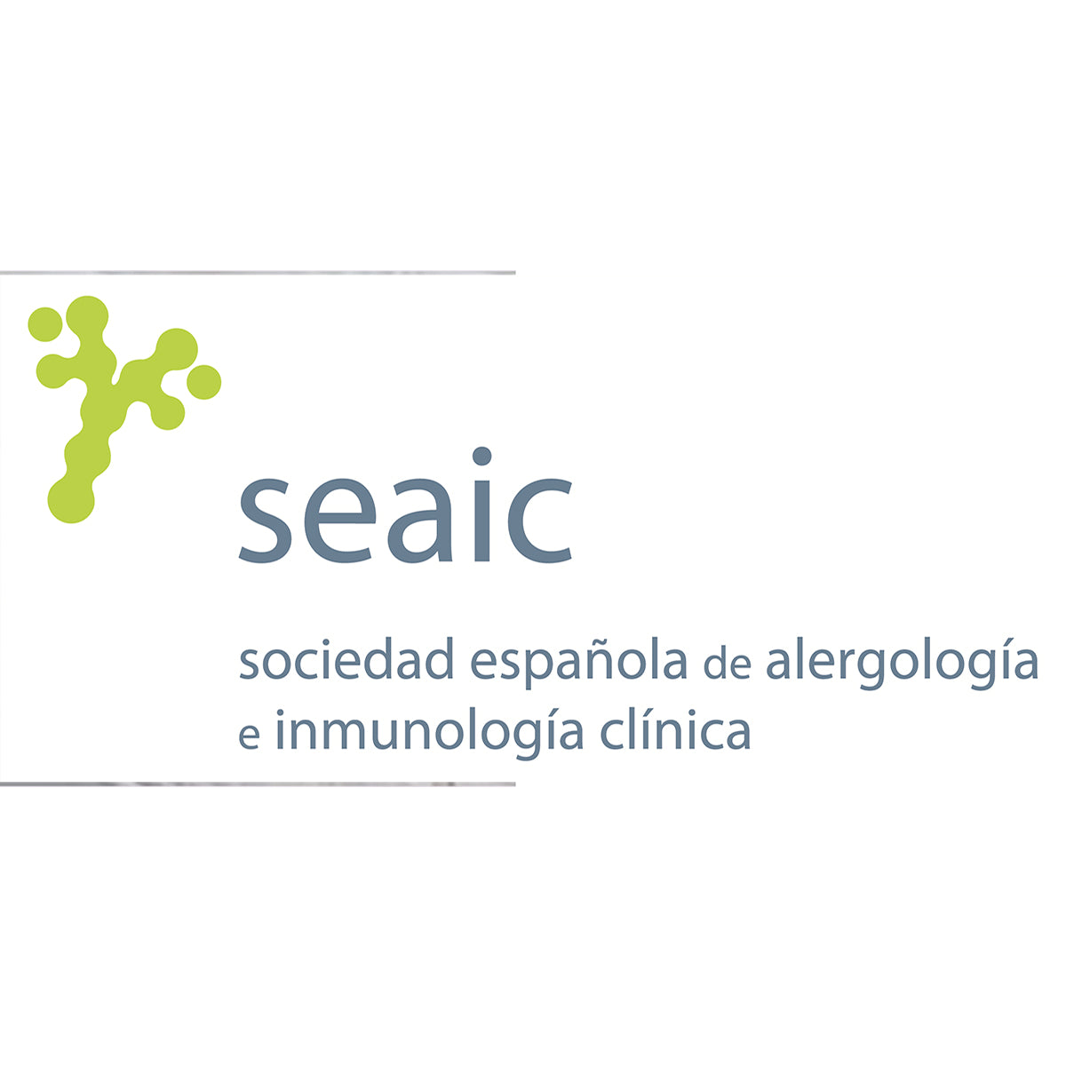 SOFFICEPIUMA® Piumone in ALLERBAN Antiacaro No-Acar ed Antimicotico art. S001