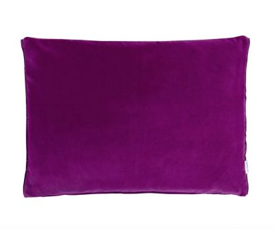 soffice piuma 2019 03 29 17 27 03 1553876922 thumbs 400