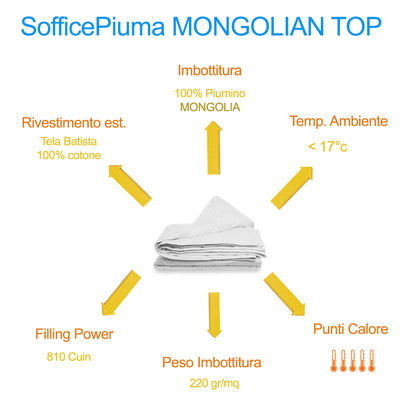 SofficePiuma by Molina Piumino d'oca Letto prestigioso in piuma mongolia super selezionata prodotto di eccellenza art. MONGOLIAN TOP