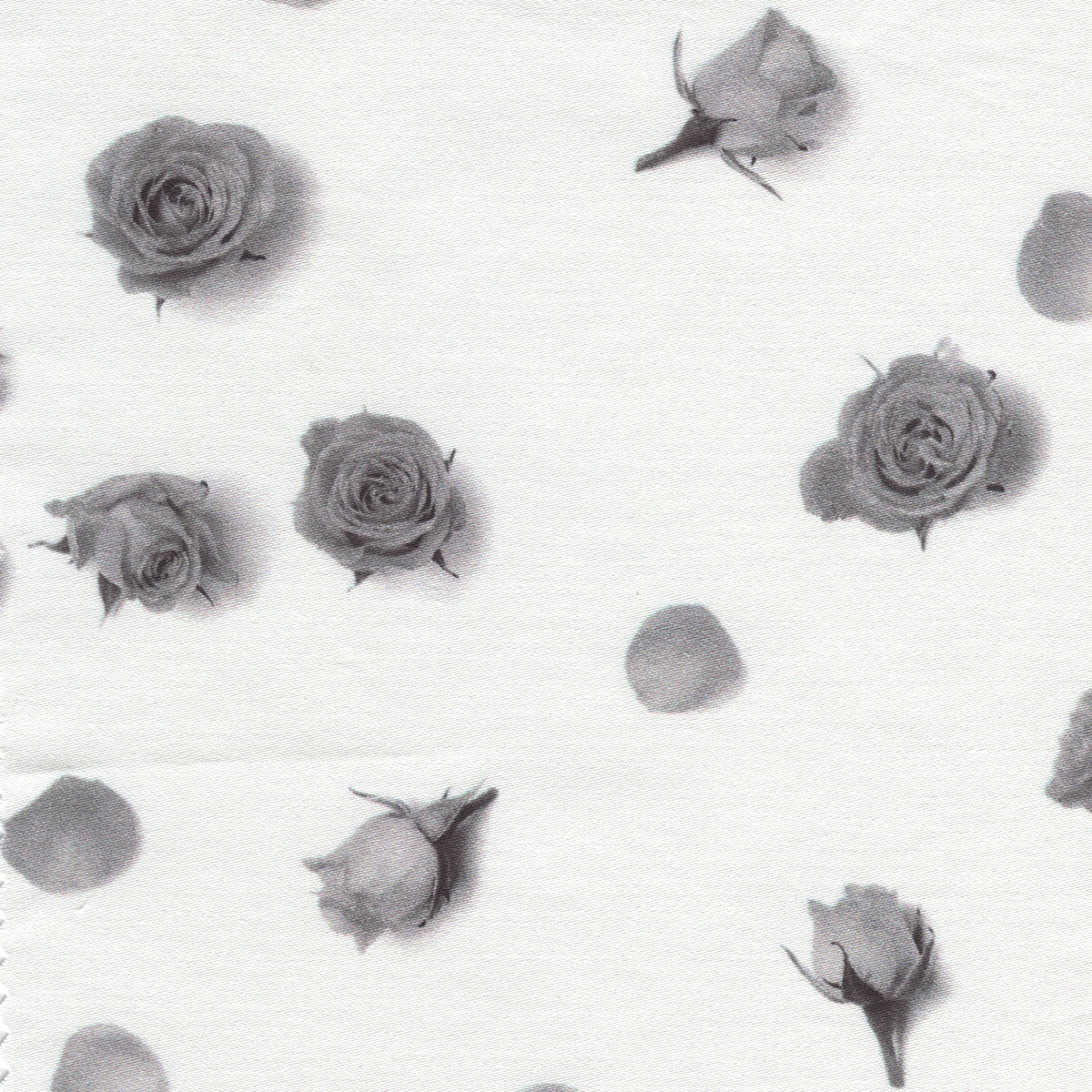 sofficepiuma lenzuola copripiumino sartoriali su misura raso cotone percalle sinfonia rose grigio 99